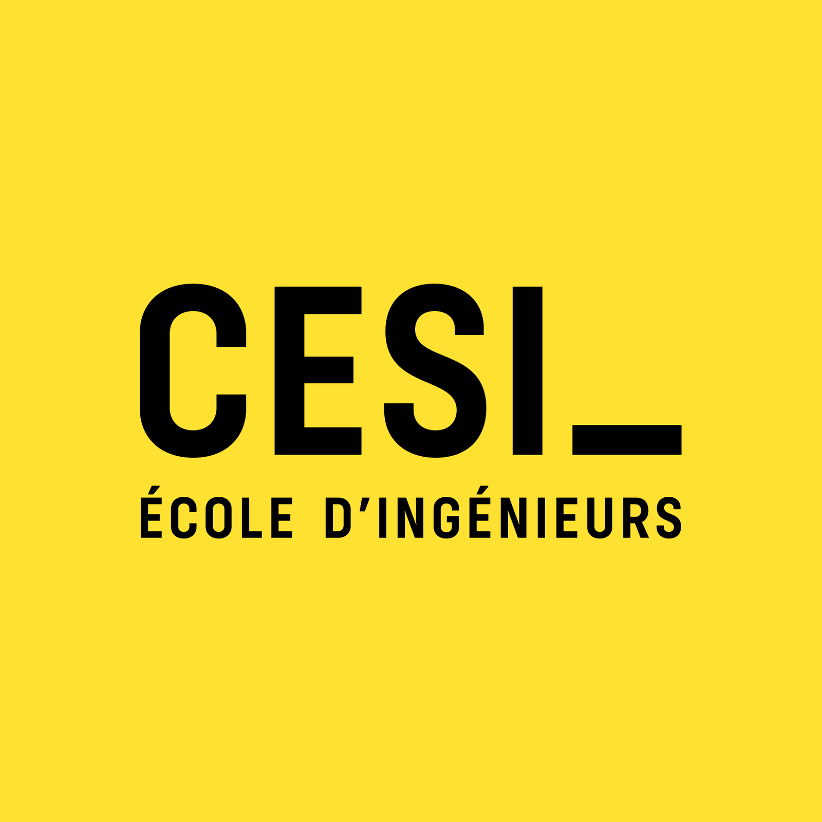 CESI Engineering School - Saint-Etienne du Rouvray, France